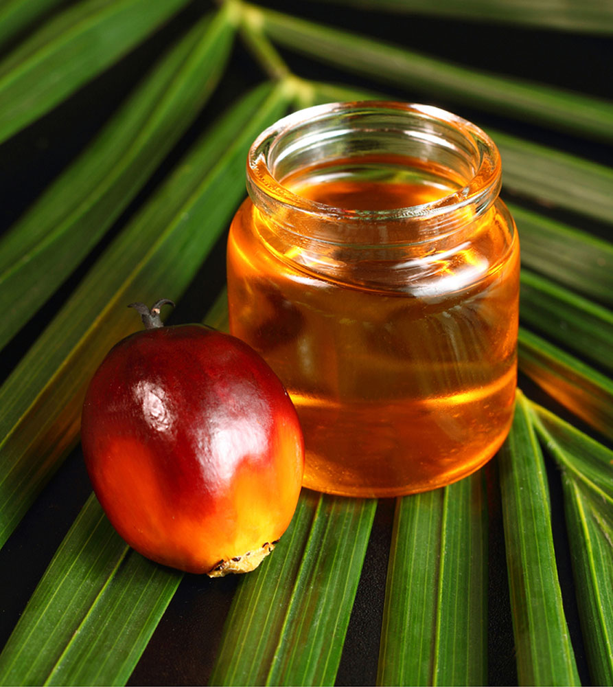 A small jar of palm oil and a palm seed placed on top of a large leaf.