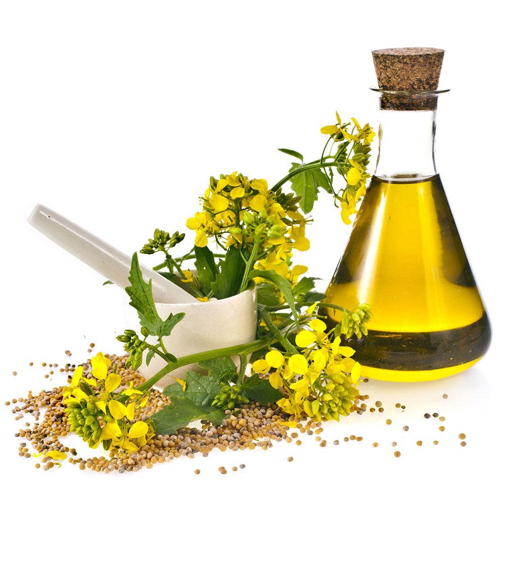 A glass bottle of rapeseed oil next to a mortar and pestle bowl with rapeseed flowers sticking out, surrounded by scattered rapeseeds.