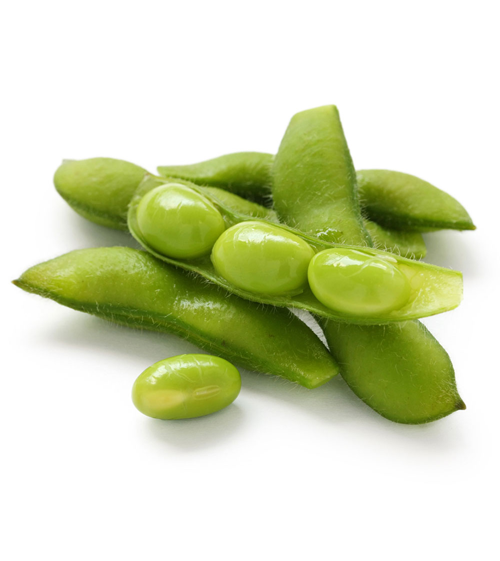 Soya beans together in a pile still in their green pods.