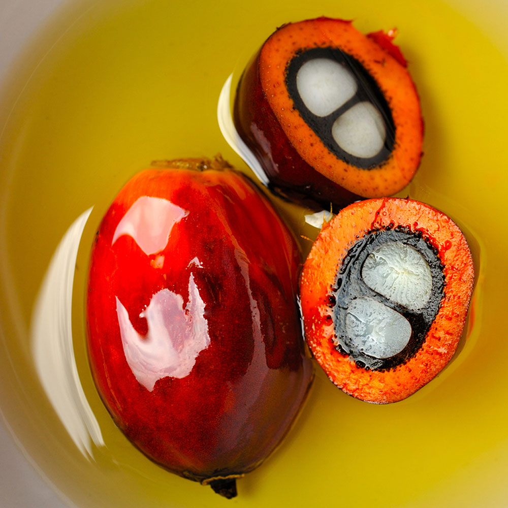A close-up of a palm seed next to a palm seed cut in half laying in a bowl of oil.