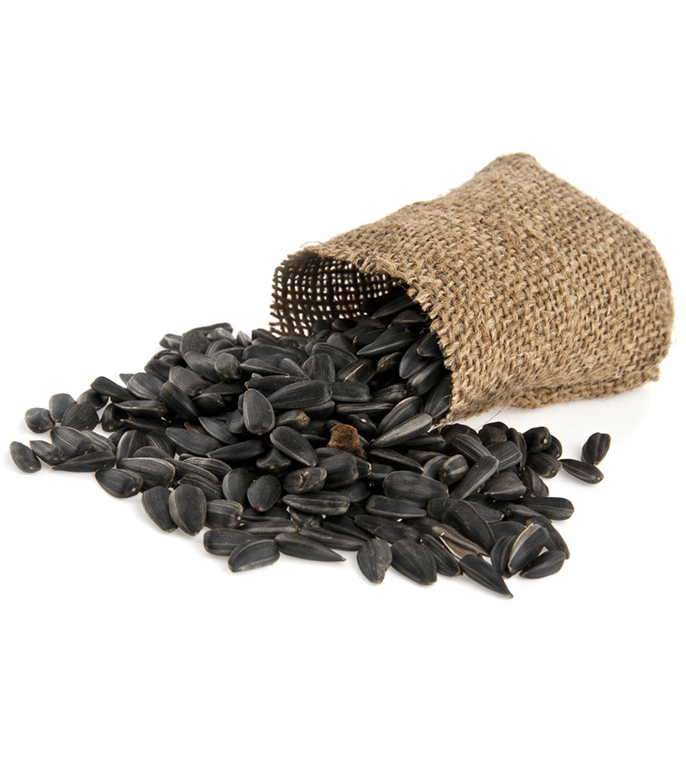 A woven bag tipped over, with sunflower seeds spilling out.